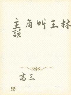 主角叫王林的小说