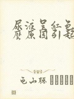 尿液呈红色是什么原因引起的