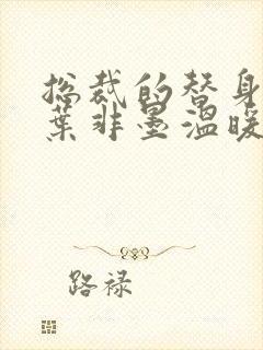 总裁的替身前妻叶非墨温暖txt封面