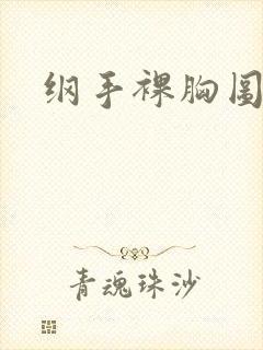 纲手裸胸图封面