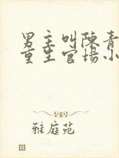 男主叫陈青云的重生官场小说封面