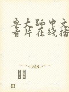 鲁大师中文在线看片在线播放
