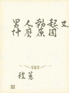 男人勃起又软了什么原因