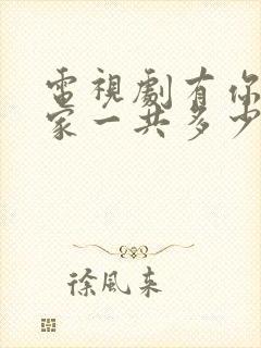 电视剧有你才有家一共多少集封面