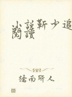 小说靳少追妻忙阅读