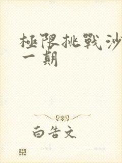 极限挑战沙溢哪一期封面