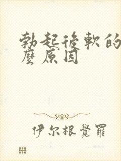 勃起后软的快什么原因