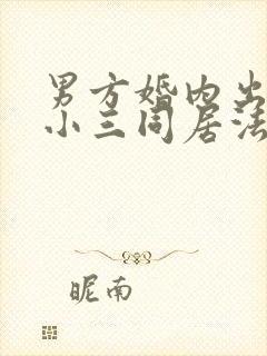 男方婚内出轨与小三同居法律怎么判封面