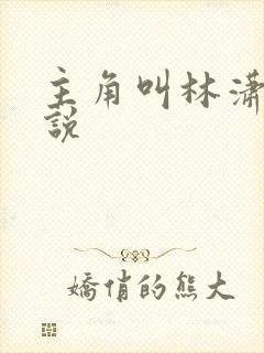 主角叫林潇的小说