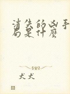 消失的凶手大结局是什么