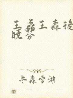 王磊王森后妈杨晓芬