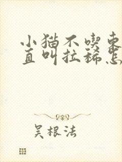 小猫不吃东西一直叫拉稀怎么办封面