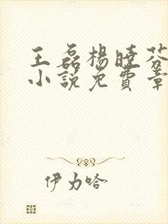 王磊杨晓芬后妈小说免费章节