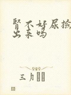 肾不好尿检能查出来吗