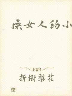 操女人的小b封面