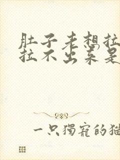 肚子老想拉屎又拉不出来是什么原因