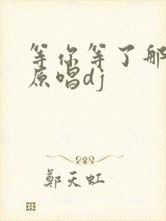 等你等了那么久原唱dj封面