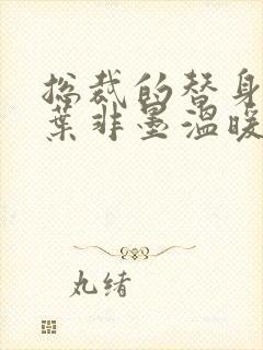 总裁的替身前妻叶非墨温暖全文免费阅读封面