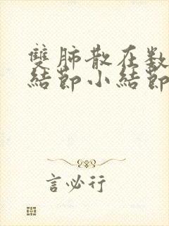 双肺散在数个微结节小结节封面