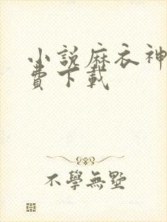 小说麻衣神婿免费下载