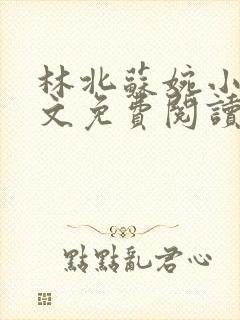 林北苏婉小说全文免费阅读大结局