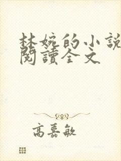 林婉的小说免费阅读全文