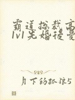 霸道总裁高干文1v1先婚后爱小娇妻封面