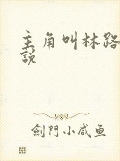 主角叫林路的小说