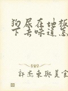 狗尿在地板上渗下去味道怎么去除封面