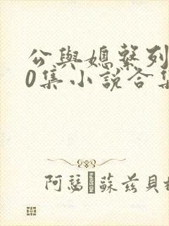公与媳系列100集小说合集封面