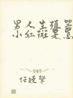 男人生殖器上长小红斑是怎么回事