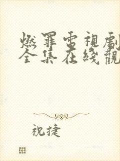 燃罪电视剧免费全集在线观看高清