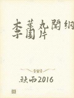 木叶丸闻纲手鞋子图片