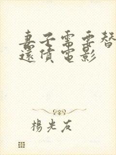 妻子需要替丈夫还债电影