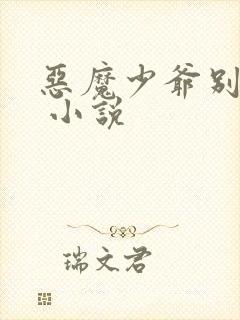 恶魔少爷别惹我 小说