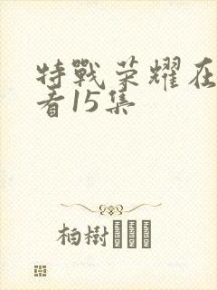 特战荣耀在线观看15集