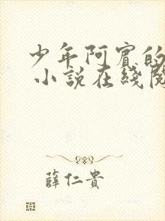 少年阿宾的故事 小说在线阅读封面