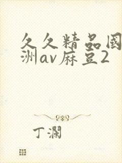 久久精品国产亚洲av麻豆2封面