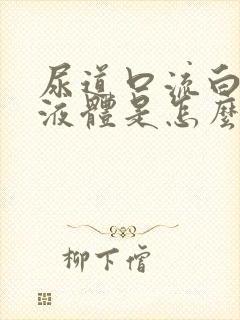 尿道口流白色的液体是怎么回事