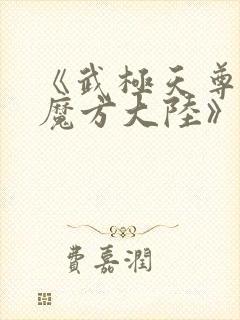 《武极天尊3之魔方大陆》在线观看封面