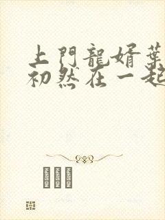 上门龙婿叶辰萧初然在一起了吗