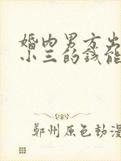 婚内男方出轨给小三的钱能要回来吗封面