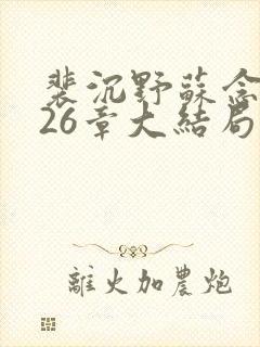 裴沉野苏念辞第26章大结局