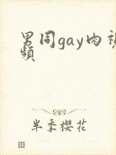 男同gay肉视频封面