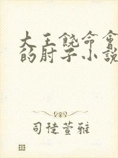 大王饶命会说话的肘子小说未删减版