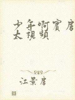 少年啊宾房东太太视频封面