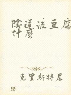 阴道流豆腐渣用什么