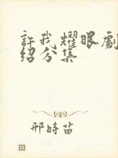 许我耀眼剧情介绍分集