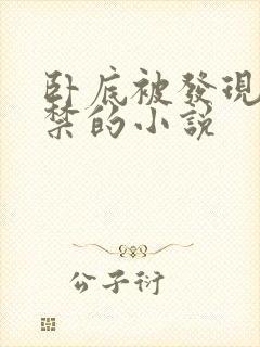 卧底被发现后囚禁的小说