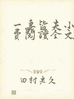 一妻皆夫小说免费阅读全文